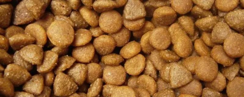 怎么选择好狗粮，要考察其油分、味道等