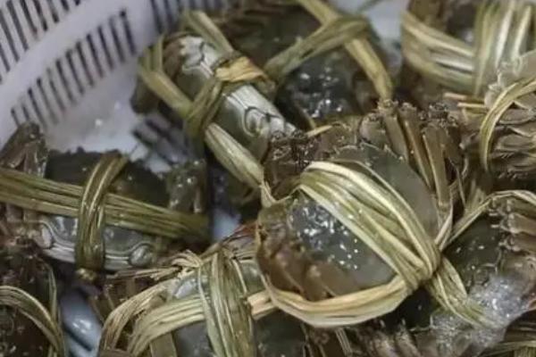 河蟹在家怎么养，一定要注入干净的河水