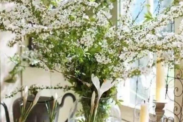 银杏叶如何保持金黄不干枯，可阴干储存