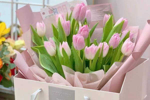 10朵郁金香的花语是什么，寓意十全十美、永远的爱等