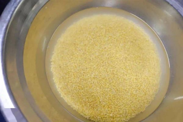 优质的黄小米怎么挑选，品质好的黄小米具有清香味、用手搓动后会留下黏糊糊的米油