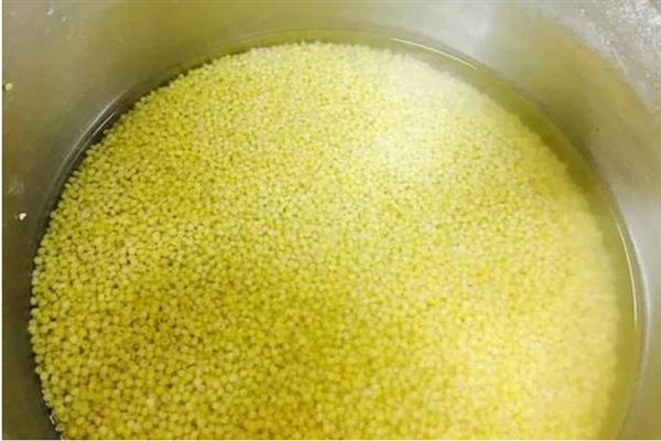 优质的黄小米怎么挑选，品质好的黄小米具有清香味、用手搓动后会留下黏糊糊的米油