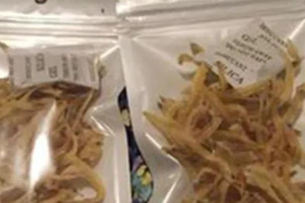 面条鱼是银鱼吗，面条鱼和银鱼并不一样