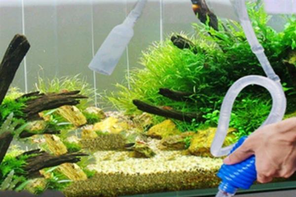 鱼的水质怎么养，首先要困水