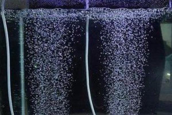 鱼的水质怎么养，首先要困水