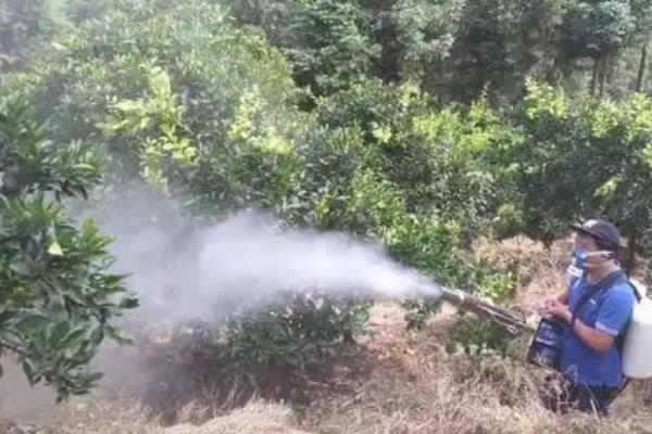北方无公害蔬菜基地病虫害如何选择农药，需正确选择药剂