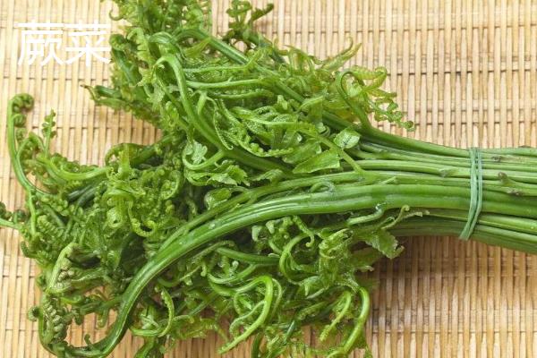 有哪些野菜，常见的有水芹菜、车前草、蕨菜等