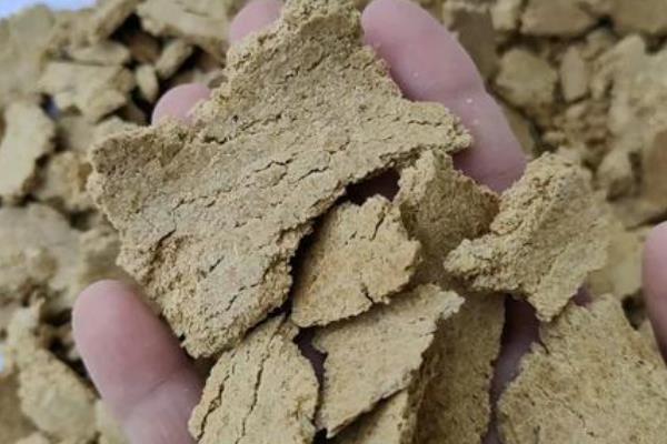 四月钓鱼水深在多少合适，一般建议钓1-2米深