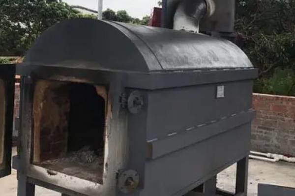 猪在哪个年代被广泛养殖，最早在新石器时代就已经被广泛养殖