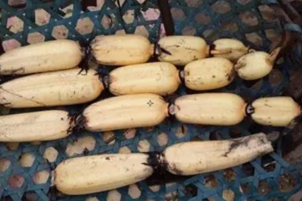 莲藕的品种介绍，常见的有鄂莲一号、鄂莲二号等