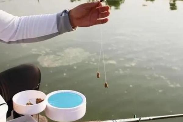鱼线容易打卷说明什么，说明鱼线劣质