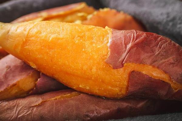 钓鱼的饵料种类，分为自然饵和商品饵