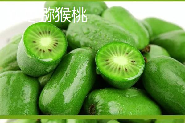 南方种什么品种的猕猴桃树好，可选择红阳猕猴桃、红心猕猴桃等