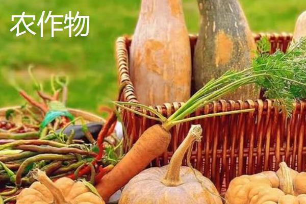 农作物和庄稼的区别是什么，概念、包括性均不同
