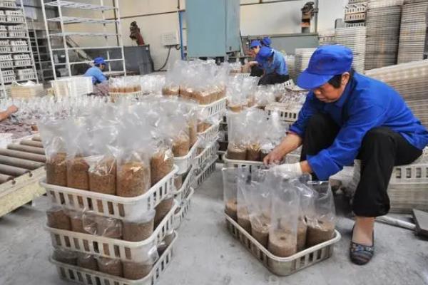 有哪些农村创业小型加工厂，有生胶带厂、纸壳生产厂等