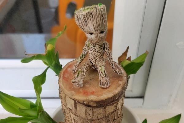 格鲁特小树人盆栽的寓意，寓意青春可爱、坚韧顽强等