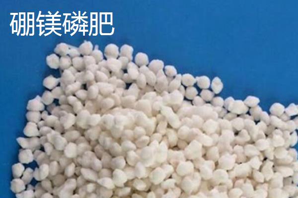 硼肥的用量是多少，针对不同作物的使用量不同