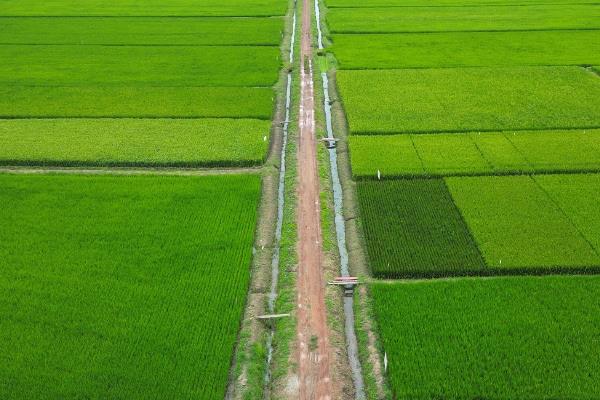 美国农业和中国农业有什么区别，生产主体和经营水平均不同
