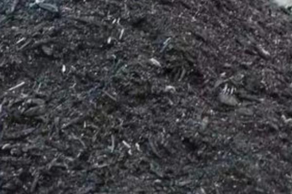 种薇菜用什么土，适合种在偏酸性的土壤中