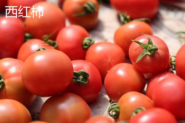 可以生吃的蔬菜有哪些，常见的有胡萝卜、生菜等