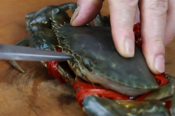 食用的螃蟹种类，常见的有三疣梭子蟹、拟穴青蟹等