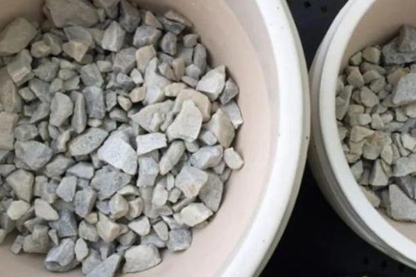 睡莲的养护方法，生长适温22-26℃