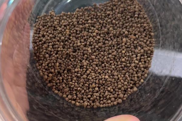 饲料和饲料添加剂的区别，用途、成分、用量不同