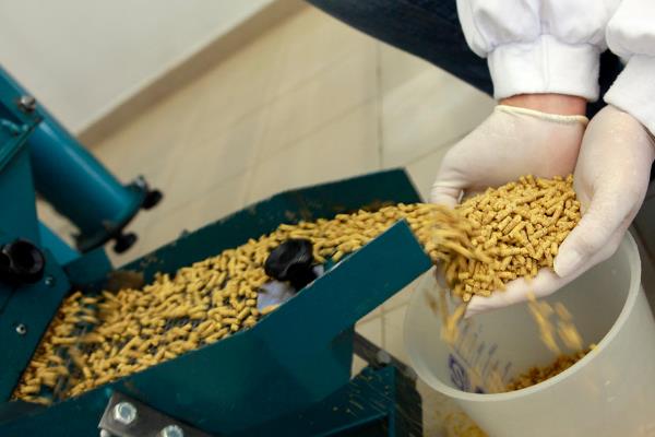 饲料和饲料添加剂的区别，用途、成分、用量不同
