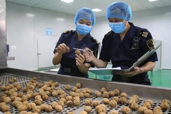 农民种哪些水果能挣钱，蓝莓、核桃等品种的种植收益比较好