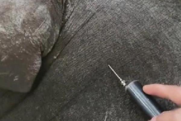 治疗副猪病可以用什么药，副猪康、阿莫西林、呼氟奇安等药物均可选择