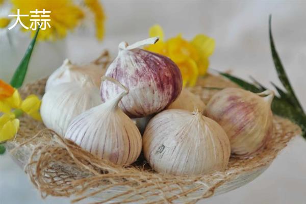 用哪些蔬菜喂鸡，饲喂胡萝卜、韭菜、大蒜均有益处