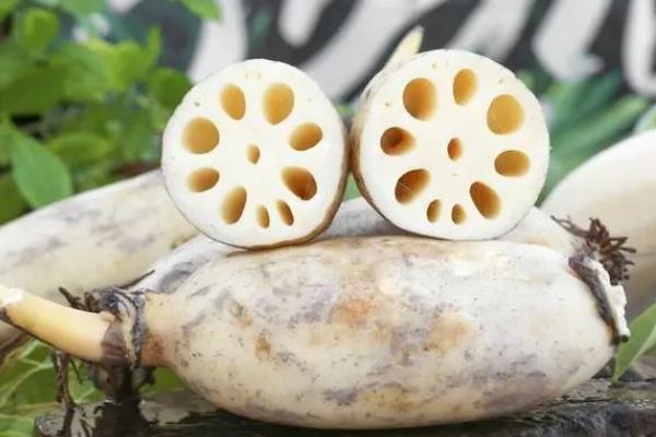 莲藕几月份成熟上市，在九月到十月份之间成熟