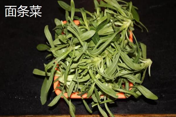 干野菜有什么种类，常见马齿苋、苋菜、蒲公英等品种