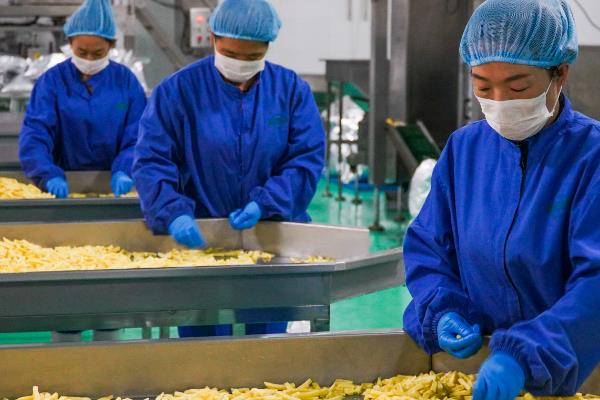有哪些农业发展商机，有种养业、农村物流等