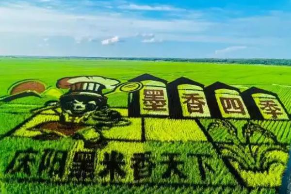 有哪些农业发展商机，有种养业、农村物流等
