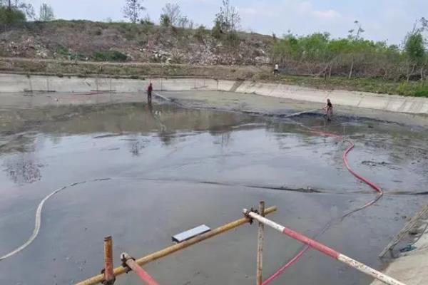 鲢鱼的生活习性,适宜的水温为23-32℃