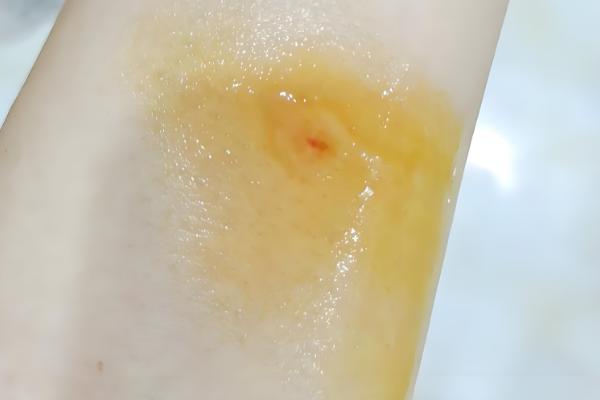 家里招马蜂的原因，可能是周围环境适合筑巢