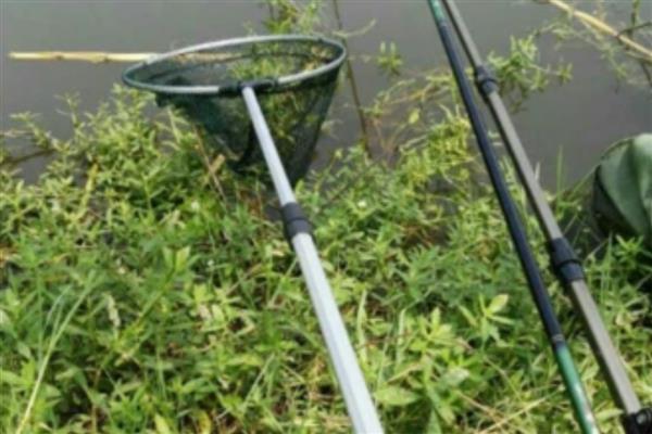 什么牌子的抄网质量好,推荐佳钓尼、汉鼎等