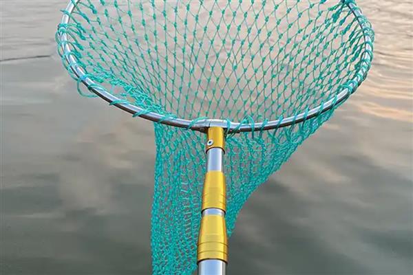 什么牌子的抄网质量好,推荐佳钓尼、汉鼎等