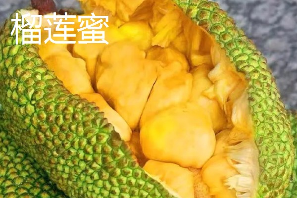 榴莲蜜的产地，产地有婆罗洲、文莱、印度尼西亚等