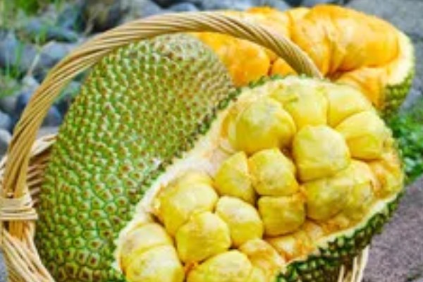 榴莲蜜的产地，产地有婆罗洲、文莱、印度尼西亚等