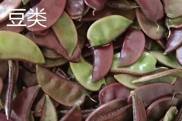 哪些蔬菜是绿通,分为以下11个种类