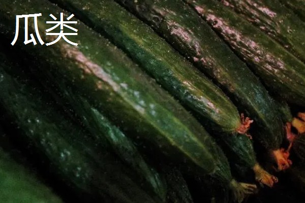 哪些蔬菜是绿通,分为以下11个种类