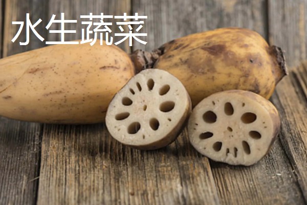 哪些蔬菜是绿通,分为以下11个种类