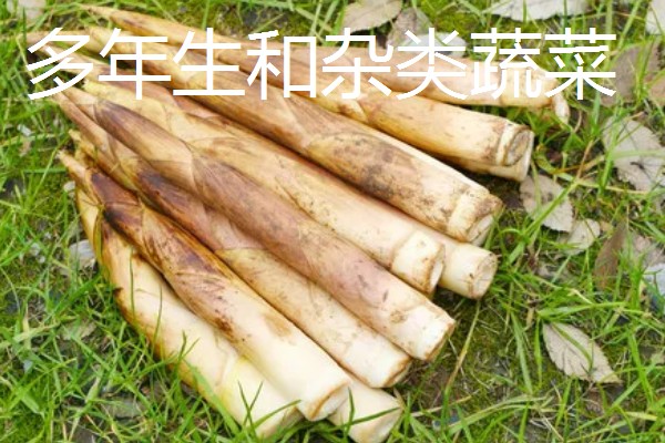 哪些蔬菜是绿通,分为以下11个种类