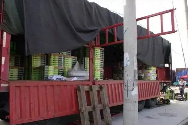 哪些蔬菜是绿通,分为以下11个种类