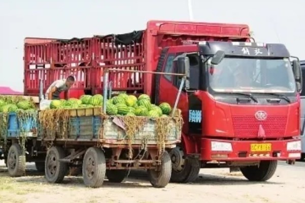 哪些蔬菜是绿通,分为以下11个种类