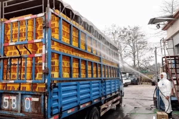 哪些蔬菜是绿通,分为以下11个种类