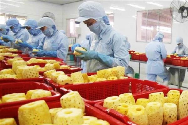 农产品有哪些,常见烟叶、毛茶、瓜果蔬菜等种类