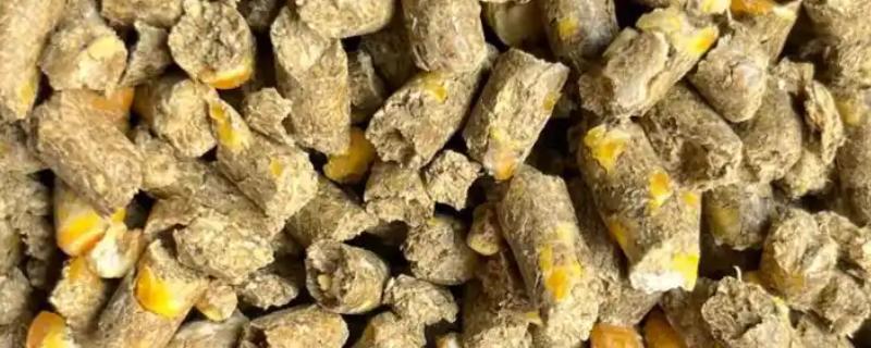 母羊的饲料配方，每个阶段对食物的需求量不一样